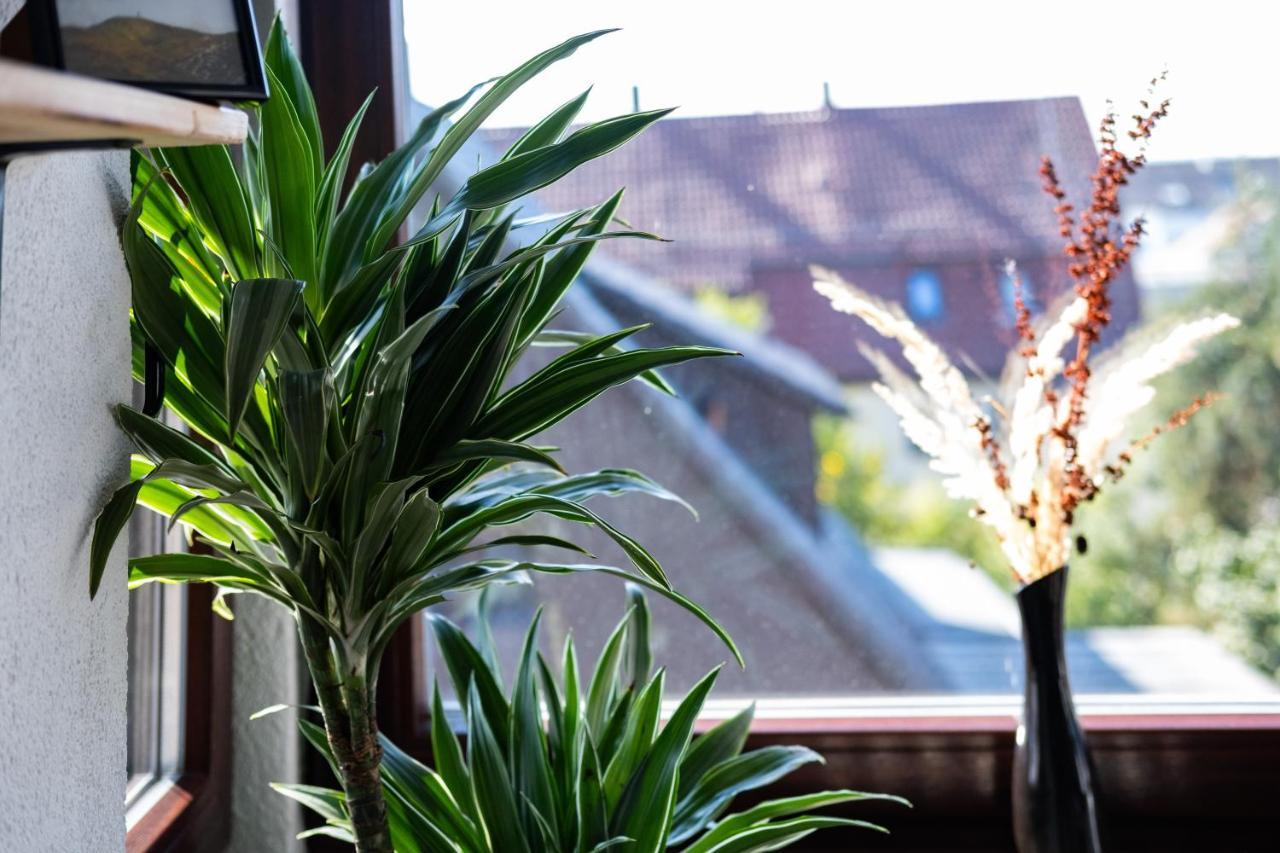 Nature Terminal Apartment - Unterwegs Zuhause Steinenbronn Ngoại thất bức ảnh